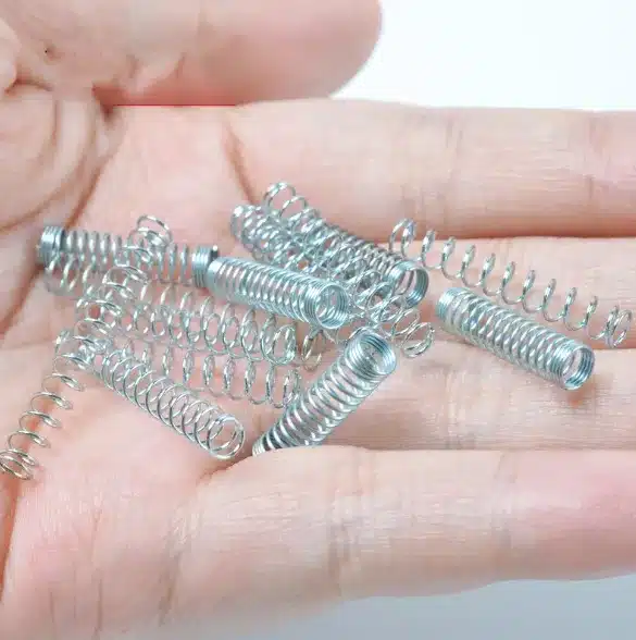 Hand holding small compression springs for inspection (Zigoal)